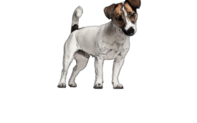 Excerpt from “Characters”. Character 18: Company Pet