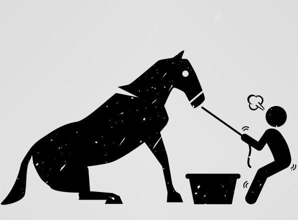The white collar productivity horse that simply won’t drink.