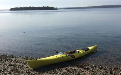 The productivity of solitude